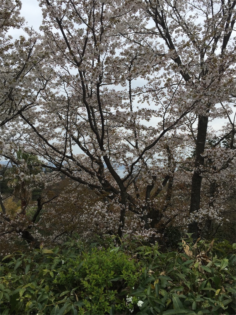 f:id:utakatax:20160402222026j:image f:id:utakatax:20160402222026j:image