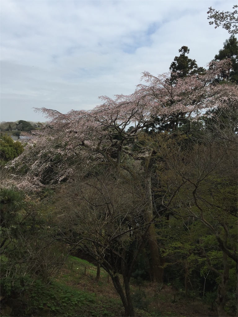 f:id:utakatax:20160402222433j:image f:id:utakatax:20160402222433j:image
