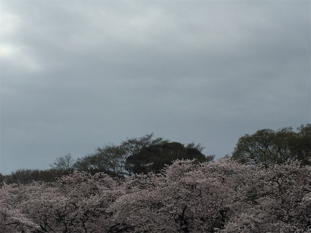 f:id:utakatax:20160404134134j:image f:id:utakatax:20160404134134j:image