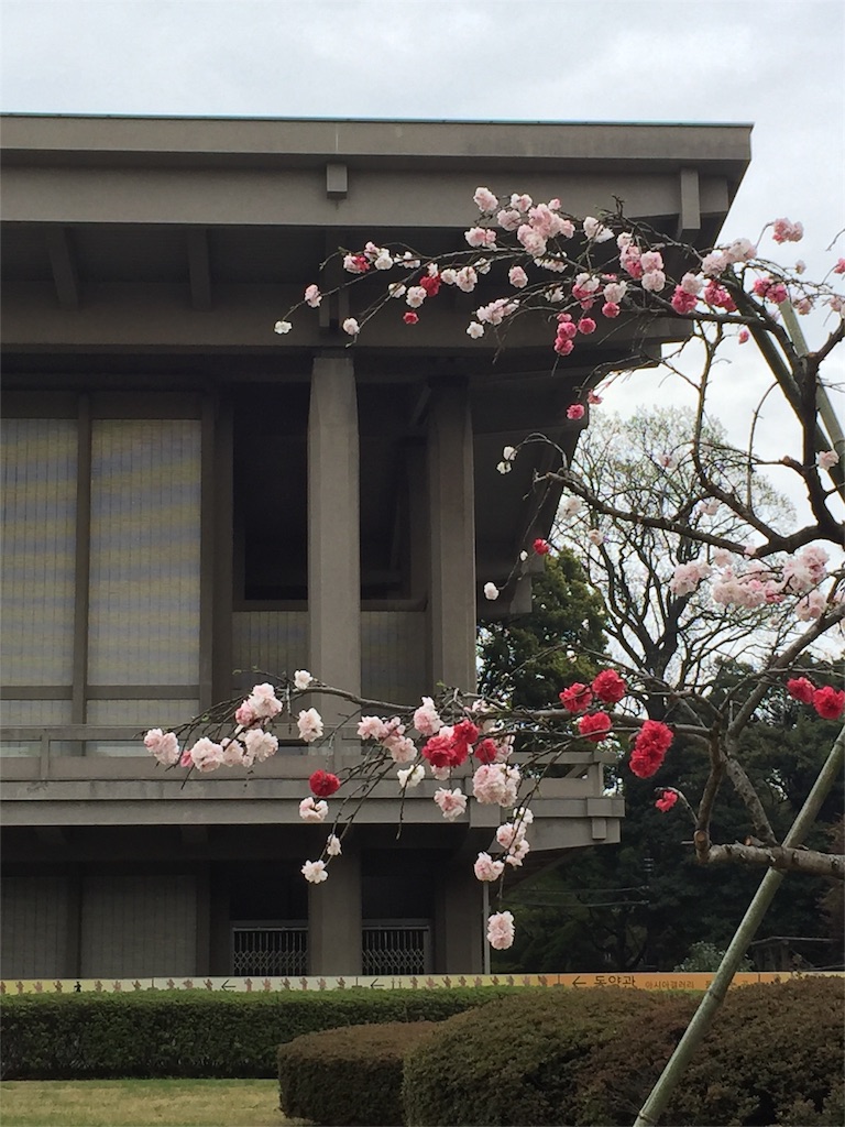 f:id:utakatax:20160404134607j:image f:id:utakatax:20160404134607j:image