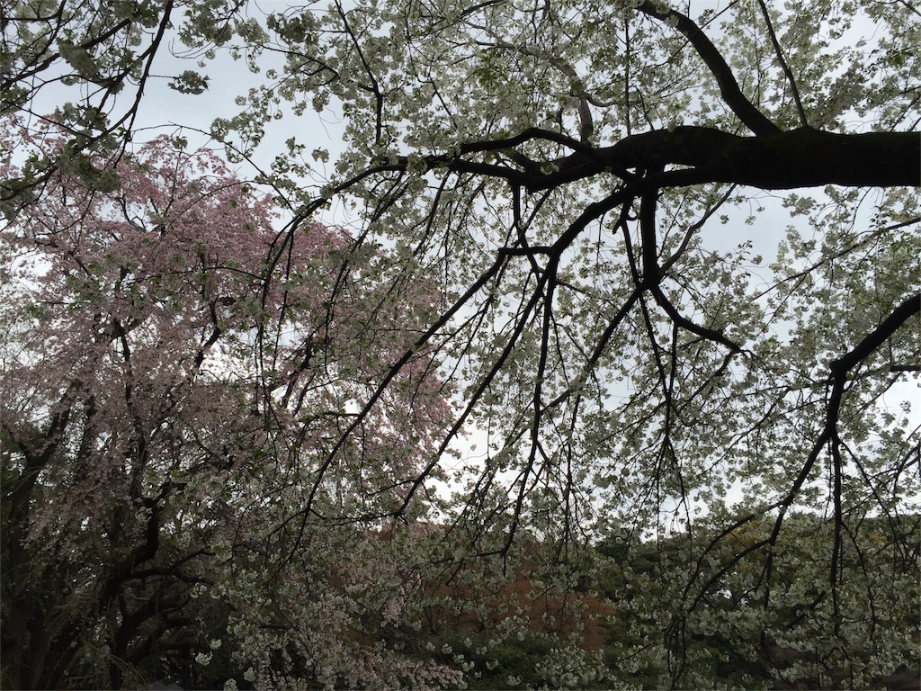 f:id:utakatax:20160404201628j:image f:id:utakatax:20160404201628j:image