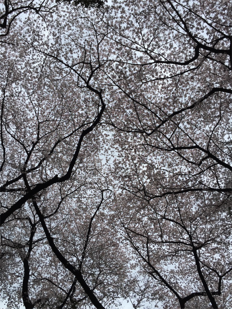 f:id:utakatax:20160404201732j:image f:id:utakatax:20160404201732j:image