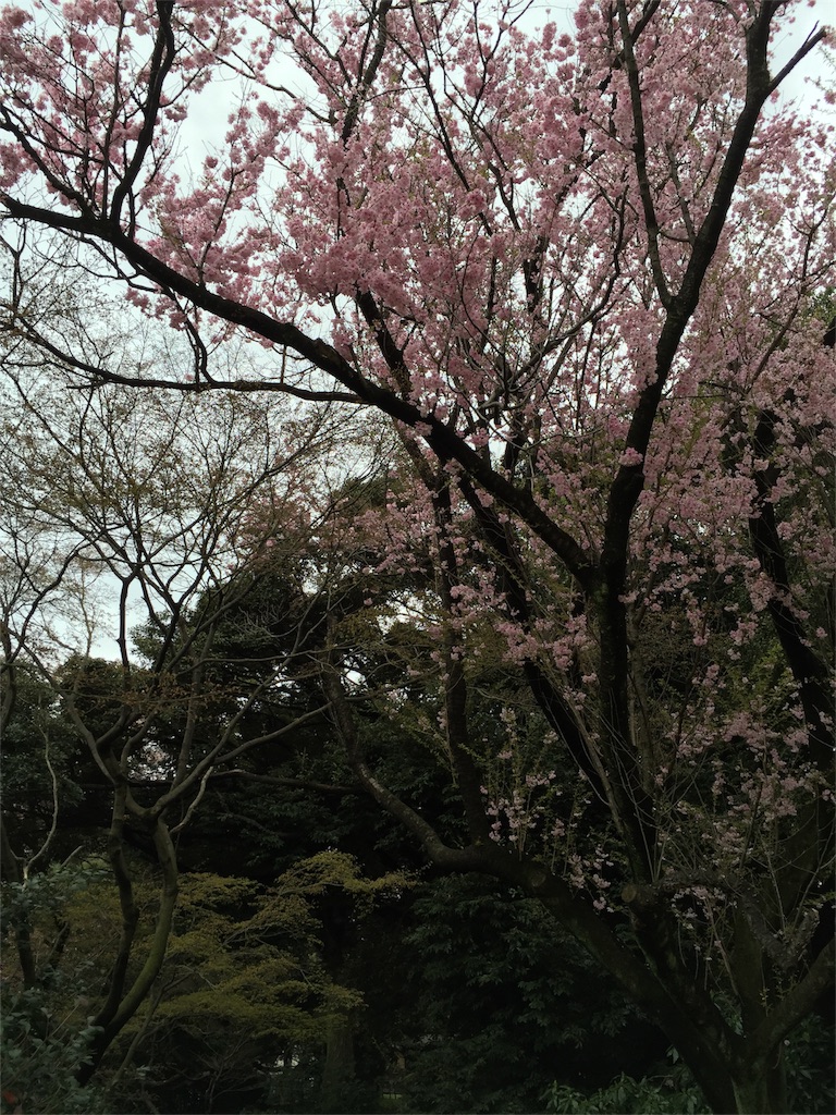 f:id:utakatax:20160404201942j:image f:id:utakatax:20160404201942j:image