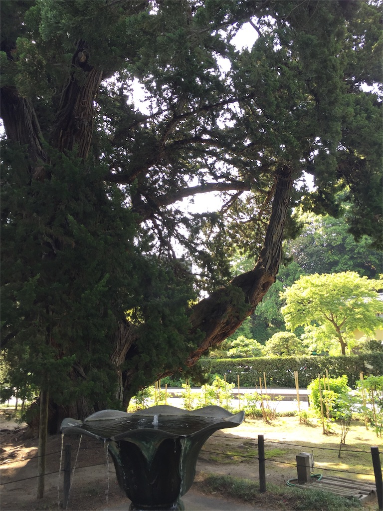 f:id:utakatax:20160510204743j:image f:id:utakatax:20160510204743j:image