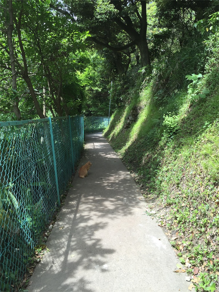 f:id:utakatax:20160517214831j:image f:id:utakatax:20160517214831j:image