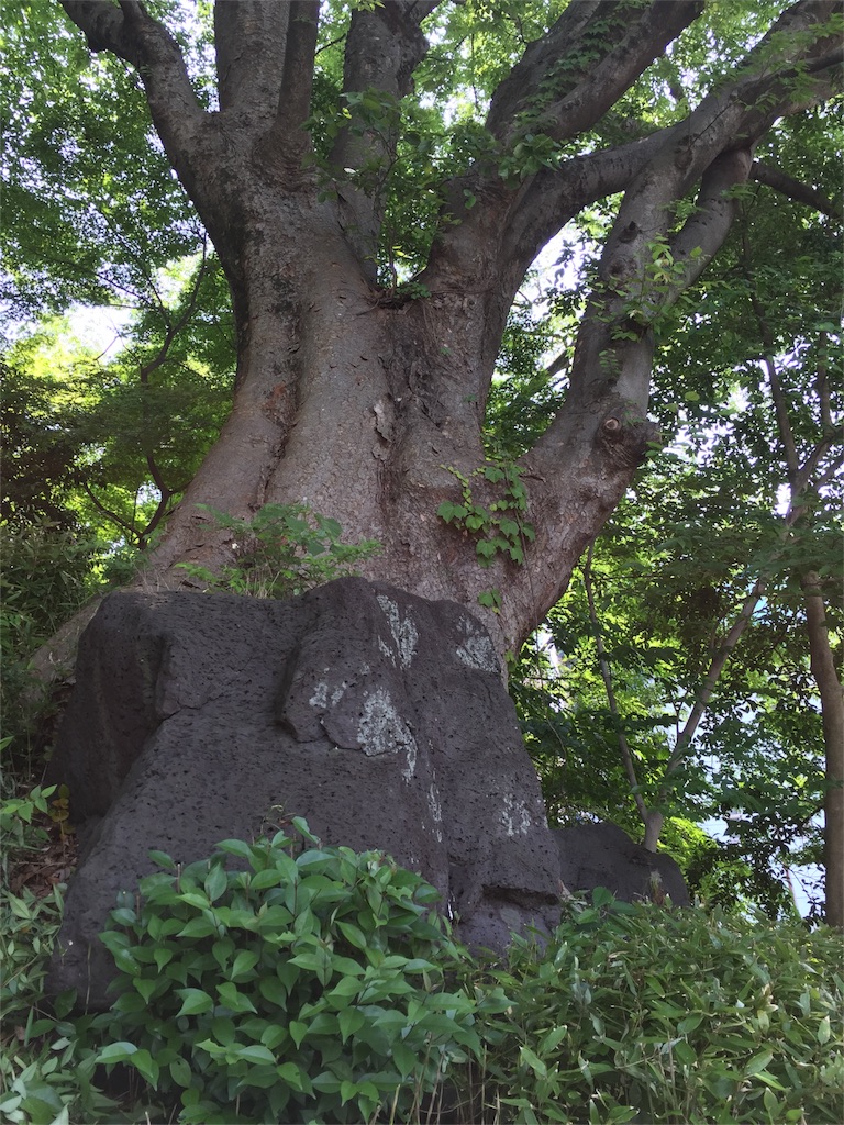 f:id:utakatax:20160525191751j:image f:id:utakatax:20160525191751j:image