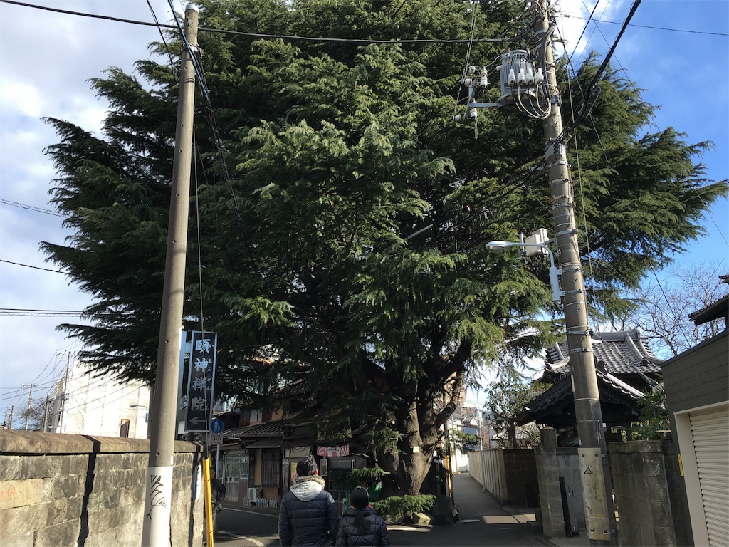 f:id:utakoya-ry88:20160124233851j:image f:id:utakoya-ry88:20160124233851j:image