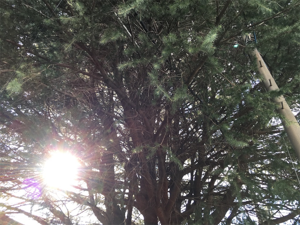 f:id:utakoya-ry88:20160124233937j:image f:id:utakoya-ry88:20160124233937j:image