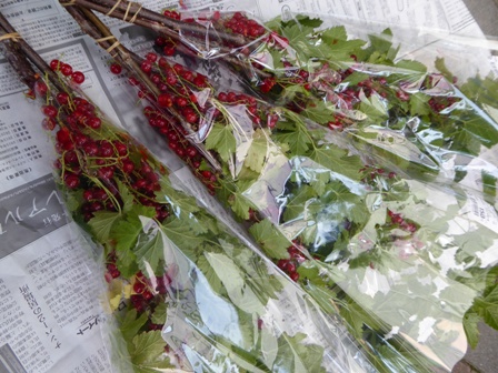 f:id:utashya:20150705152257j:plain f:id:utashya:20150705152257j:plain