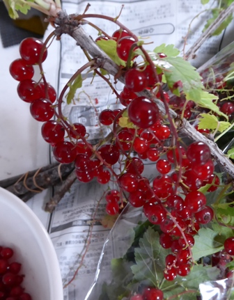 f:id:utashya:20150705153027j:plain f:id:utashya:20150705153027j:plain