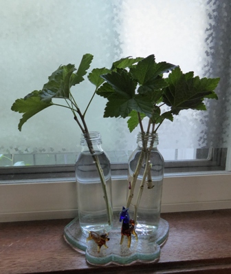 f:id:utashya:20150705163659j:plain f:id:utashya:20150705163659j:plain