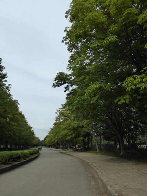 f:id:utashya:20150917141502j:plain f:id:utashya:20150917141502j:plain