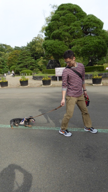 f:id:utashya:20150917142703j:plain f:id:utashya:20150917142703j:plain