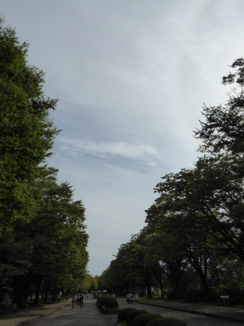 f:id:utashya:20150917142741j:plain f:id:utashya:20150917142741j:plain