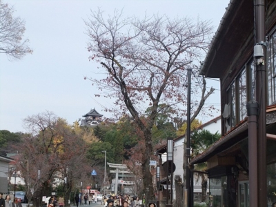 f:id:utopia1:20111128214224j:image