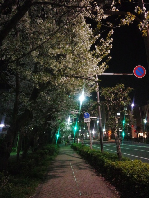 f:id:uudd-lrlr-ba:20150331215430j:plain f:id:uudd-lrlr-ba:20150331215430j:plain