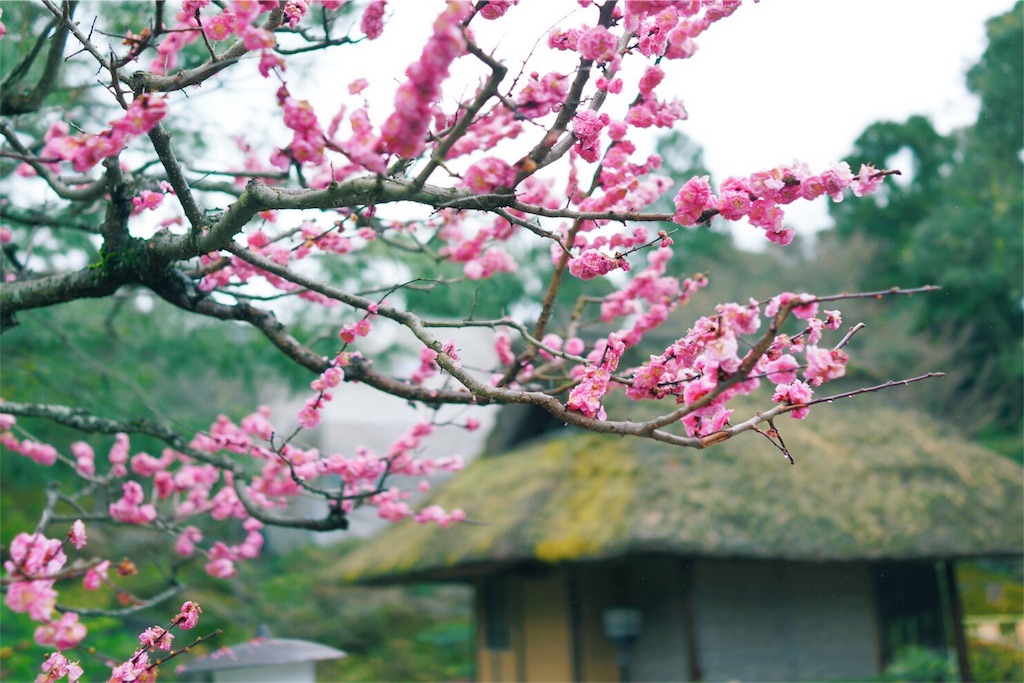 f:id:uxul:20160320181839j:image f:id:uxul:20160320181839j:image