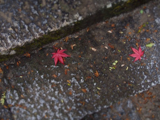 f:id:v10ym:20151126205254j:image f:id:v10ym:20151126205254j:image