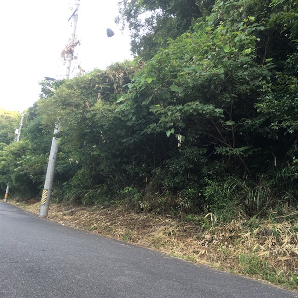 f:id:v6stage:20160801084746j:image f:id:v6stage:20160801084746j:image