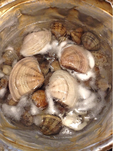 f:id:vackey:20150517194249j:image f:id:vackey:20150517194249j:image