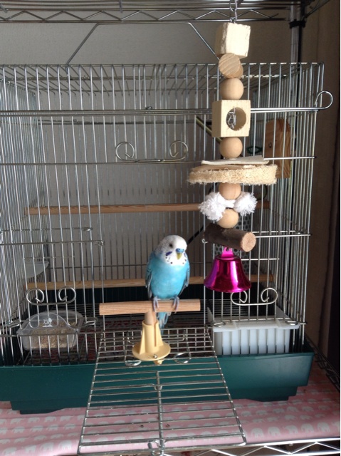 f:id:vannie:20131224105136j:plain f:id:vannie:20131224105136j:plain