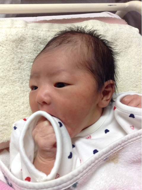 f:id:vannie:20140103193847j:plain f:id:vannie:20140103193847j:plain