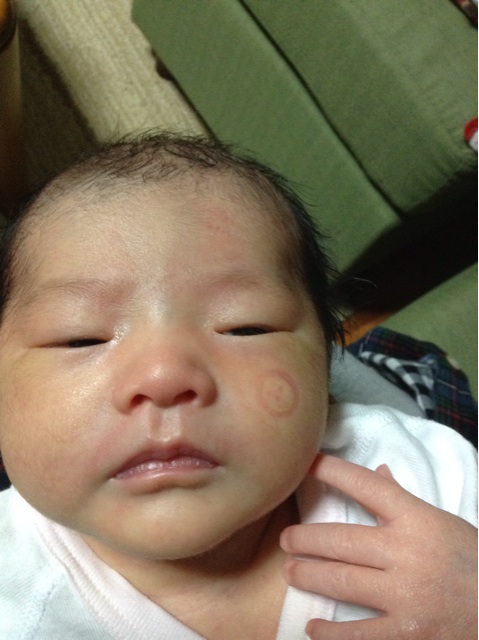 f:id:vannie:20140111115752j:plain f:id:vannie:20140111115752j:plain
