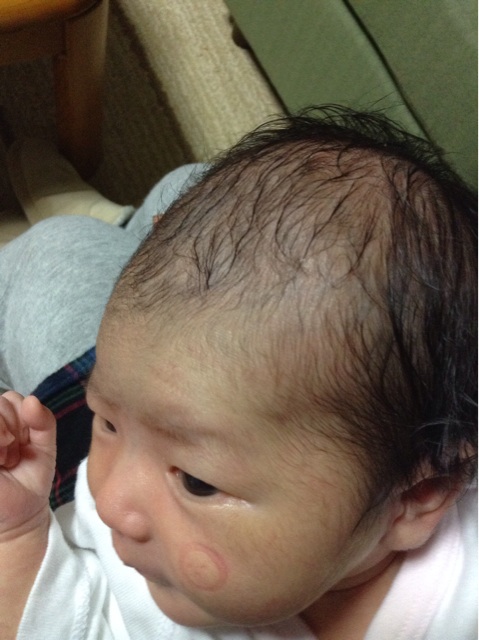 f:id:vannie:20140111120719j:plain f:id:vannie:20140111120719j:plain