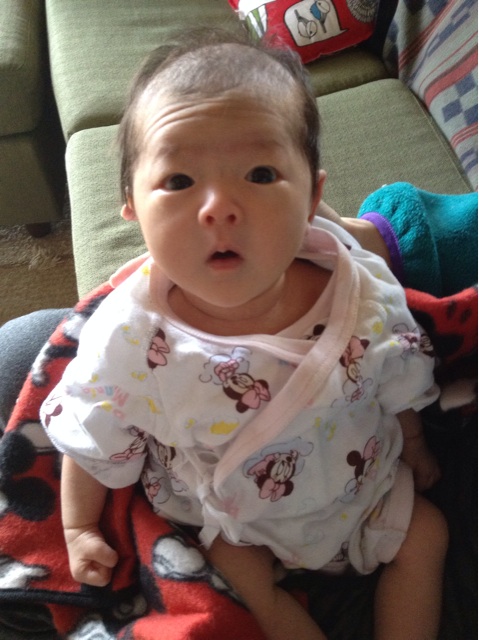 f:id:vannie:20140120140735j:plain f:id:vannie:20140120140735j:plain