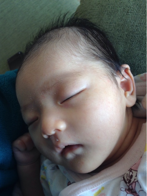 f:id:vannie:20140130132047j:plain f:id:vannie:20140130132047j:plain