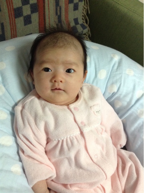 f:id:vannie:20140211160602j:plain f:id:vannie:20140211160602j:plain