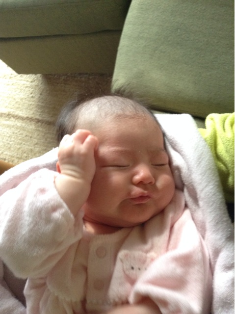 f:id:vannie:20140213152325j:plain f:id:vannie:20140213152325j:plain