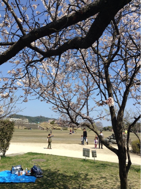 f:id:vannie:20140322145401j:plain f:id:vannie:20140322145401j:plain