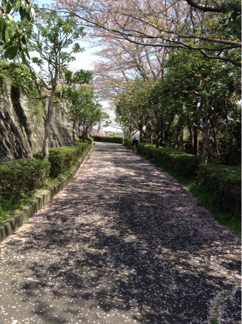 f:id:vannie:20140409134808j:plain f:id:vannie:20140409134808j:plain