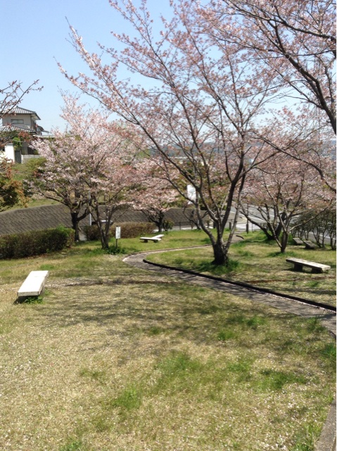 f:id:vannie:20140409135136j:plain f:id:vannie:20140409135136j:plain