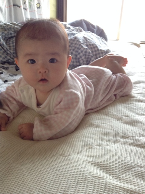 f:id:vannie:20140514231325j:plain f:id:vannie:20140514231325j:plain