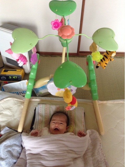 f:id:vannie:20140602183729j:plain f:id:vannie:20140602183729j:plain