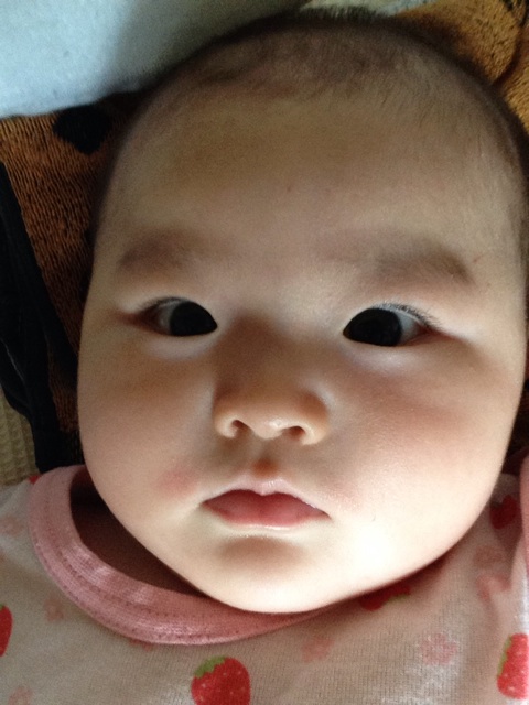 f:id:vannie:20140609160852j:plain f:id:vannie:20140609160852j:plain