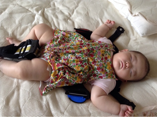f:id:vannie:20140620150623j:plain f:id:vannie:20140620150623j:plain