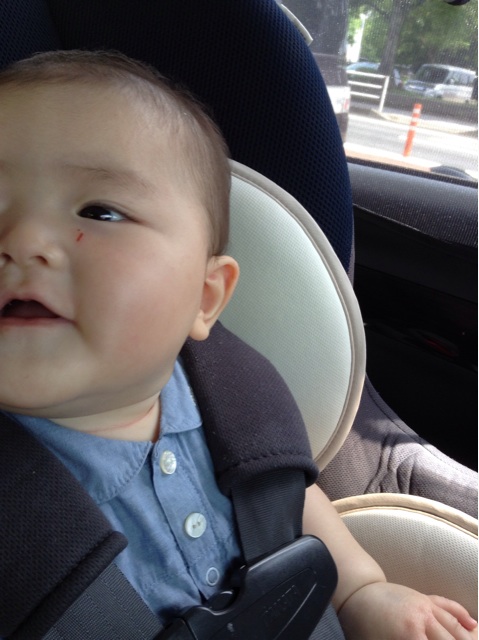f:id:vannie:20140705225252j:plain f:id:vannie:20140705225252j:plain
