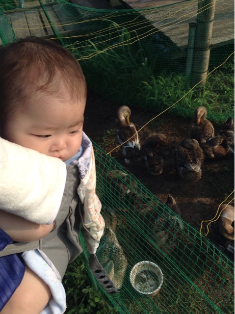 f:id:vannie:20140728101058j:plain f:id:vannie:20140728101058j:plain