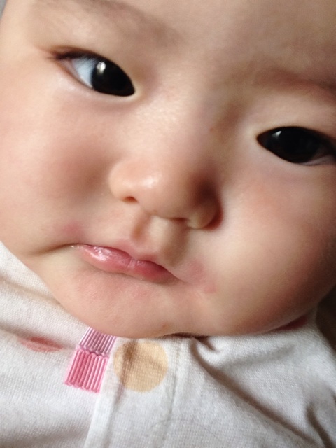f:id:vannie:20140730210524j:plain f:id:vannie:20140730210524j:plain