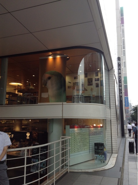 f:id:vannie:20140826222833j:plain f:id:vannie:20140826222833j:plain
