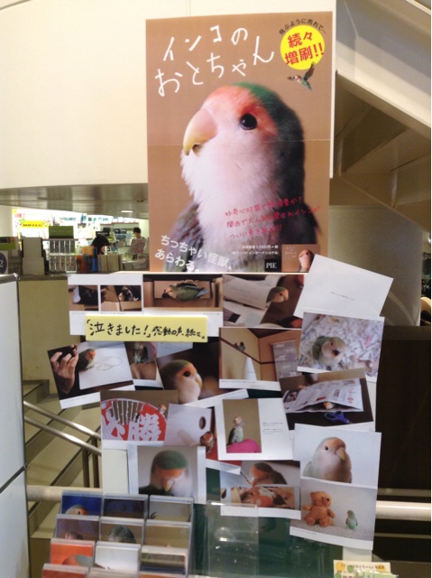 f:id:vannie:20140826222855j:plain f:id:vannie:20140826222855j:plain