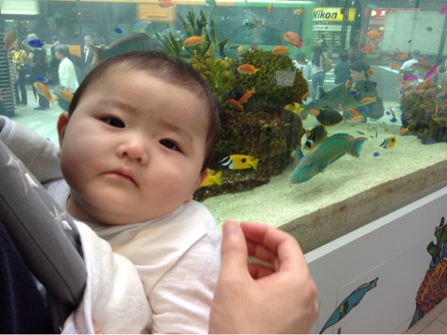 f:id:vannie:20140827214230j:plain f:id:vannie:20140827214230j:plain