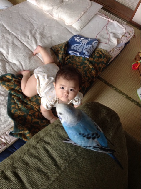 f:id:vannie:20140904095927j:plain f:id:vannie:20140904095927j:plain