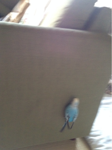 f:id:vannie:20141017215729j:plain f:id:vannie:20141017215729j:plain
