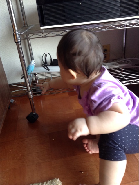 f:id:vannie:20141017220133j:plain f:id:vannie:20141017220133j:plain