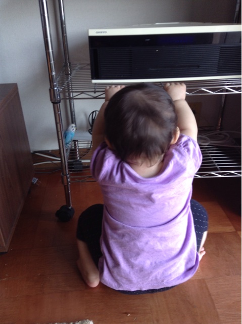 f:id:vannie:20141017220220j:plain f:id:vannie:20141017220220j:plain
