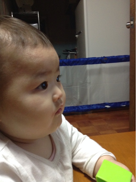 f:id:vannie:20141031204413j:plain f:id:vannie:20141031204413j:plain